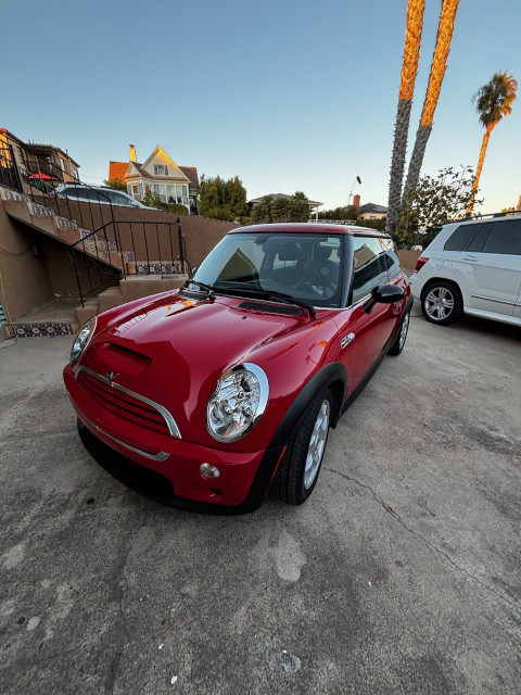 Mini-Cooper After Paint Correction and Ceramic Coating